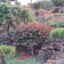 소박한바당쉼터 이미지