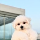 워킹포드림 이미지