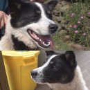 제주마당 이미지