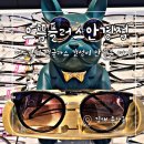 김해 율하 안경 으뜸플러스 SBS방송출현 도매가 학생안경 선글라스