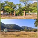 도계초 동덕분교장 이미지