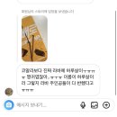 [화사대] 23. 11월 상해 일상 上 ✨