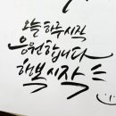 캘리와 함께 이미지