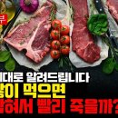 우리 인간은 육식동물이다 (육식동물 6부) [LDL 21편] 고기 많이 먹으면 혈관 막혀서 빨리 죽을까? 이미지