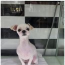 오키독키 이미지