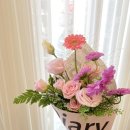 사파동399 이미지