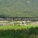 손덕문 공인중개사사무소 이미지