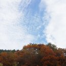 덕산 흑염소 농장 이미지