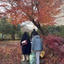 호미인문경진남 이미지