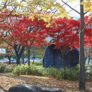 수변공원 화장실앞 네이버블로그