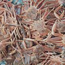 거성수산 이미지