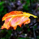 대지 행정사사무소 이미지