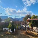 하모니펜션 이미지