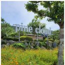 파인클라우드 이미지