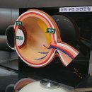 T.V홈쇼핑 이미지