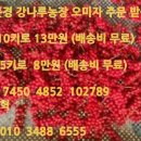 강준혁농장 Daum카페