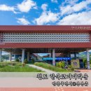 한국코미디타운 | 대구 근교 나들이 청도 가볼만한곳 한국코미디타운 공연 관람 후기