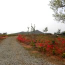 보광농원 이미지