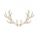 자양약국 이미지