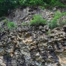 백의리층 이미지