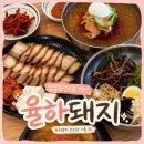 탁이 보쌈 후 냉면 | 장유 냉면 맛집 율하돼지, 점심특선 보쌈냉면 정식 솔직후기! 💫