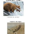 클리셰