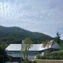 은사목장 | [양산/동면]양산 동면 사송 힐링되는 숲속 카페 성림목장 방문