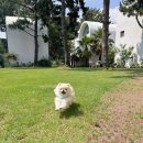 하도행복펜션 | [공지] 제주동쪽감성숙소::제주 구좌읍 감성 숙소 제주펜션 제주 애견동반숙소 하도기록 Page 3