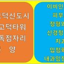우성태권도전문학원 이미지