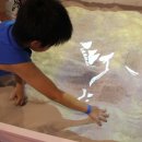 파파월드 이미지