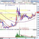 진양태양광발전소 이미지