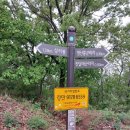 팔달시장역(지상철3호선) | 붉게 물든 영산홍을 보러 와룡산 으로/디트로시민기자단
