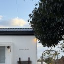 바다하우스 호스텔 | 제주도 서귀포 조용한 감성 게하 추천 | 구구호스텔 혼자여행후기