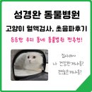 성경완 동물병원 | 성경완 동물병원 고양이 건강검진 후기｜든든한 동네 동물병원, 완전 추천해요!