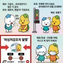 446 중부일보