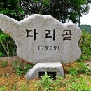 구룡2통 이미지
