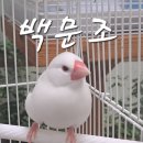 부천자연생태박물관 이미지