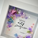 엘캘리플라워