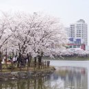 매월저수지1 이미지