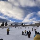 드럼교실(오전) 초급 | 독일 성인 스키 레슨 후기｜비용·수업 내용·난이도 솔직 정리 ｜블랙 포레스트 스키교실