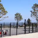 일랑일랑 애견캠핑 인제주 이미지