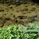 부천둘레길3코스 이미지