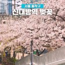 한대앞역 3번출구 육교 | 신대방역 벚꽃 도림천 벚꽃길 육교 포토존 실시간