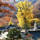 김란미즈산부인과의원 이미지