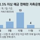 ﻿연체율 급등에 저축銀 연말 고금리 특판 ‘실종’… “사실상 개점휴업” 이미지