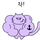 네일머스트