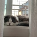 서울햇빛동물병원 이미지