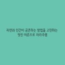 자연이묻다