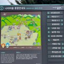 도동민박 | 울릉도 패키지 TS투어 2박3일 1일차 잠실새벽버스 강릉항 민박 맛집 렌트카