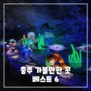 광산구-043 | 충주 가볼만한곳 베스트 6 - 아름다운 자연과 이색 체험이 가득한 충주 힐링 코스